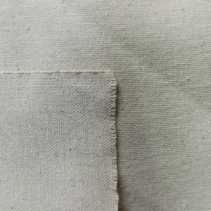 Cotton Canvas Fabric 10/6 10